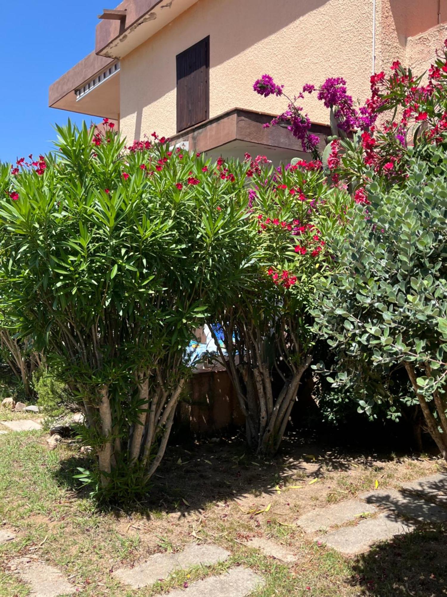 Bilocali Residenza Mediterranea กันนิโจเน ภายนอก รูปภาพ
