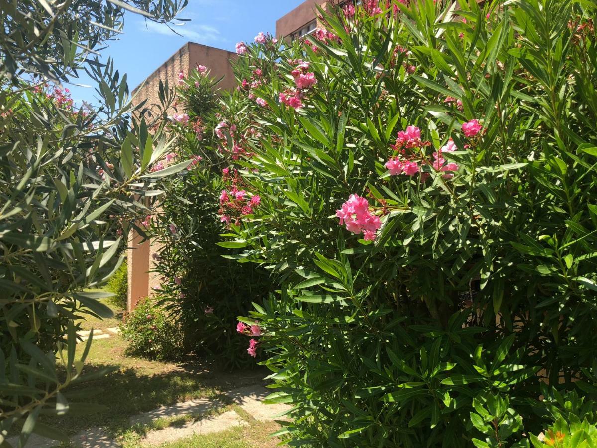 Bilocali Residenza Mediterranea กันนิโจเน ภายนอก รูปภาพ